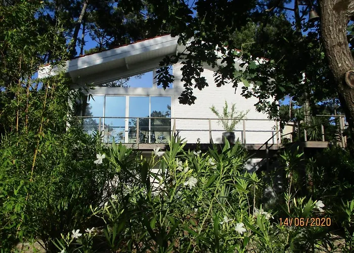 Une Maison Lumineuse Sous Les Pins