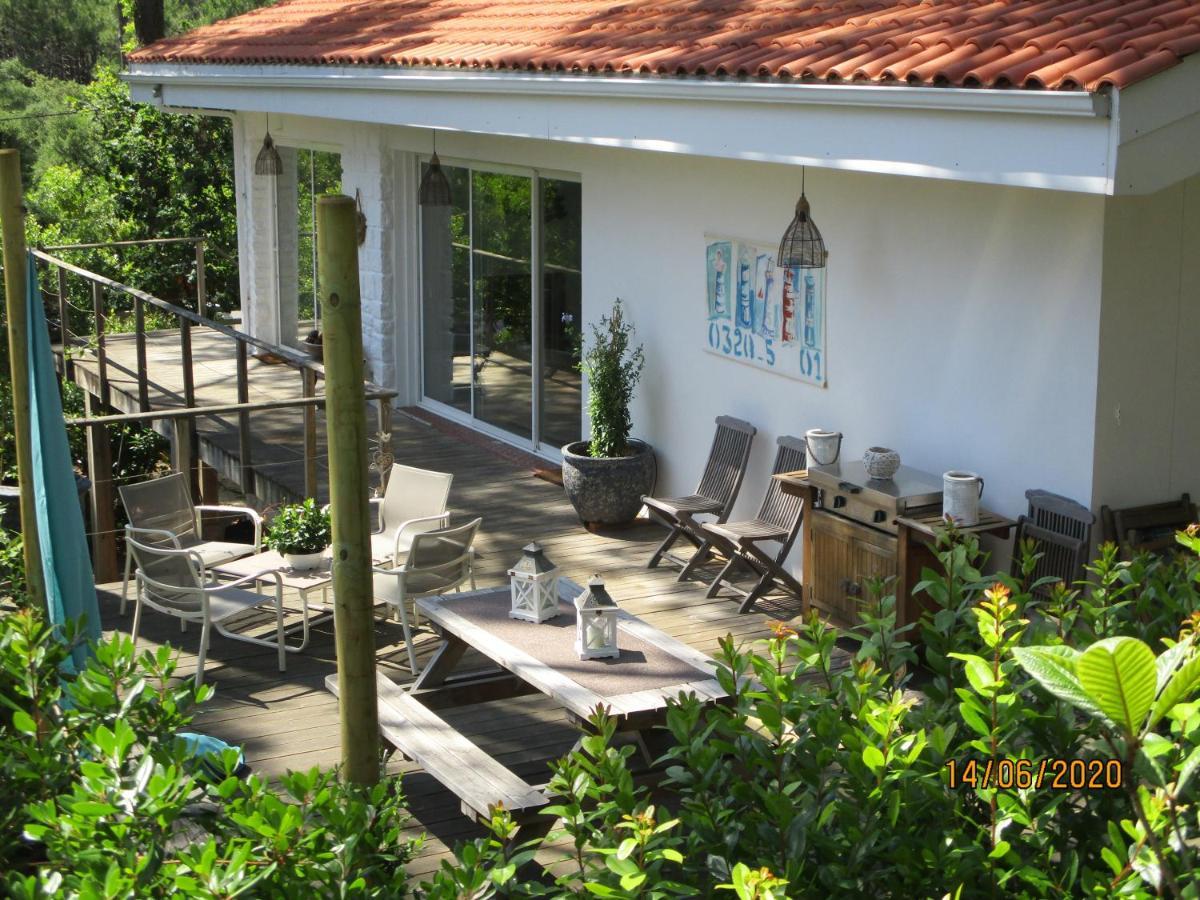 Maison Lumineuse Sous Les Pins * Le Canon