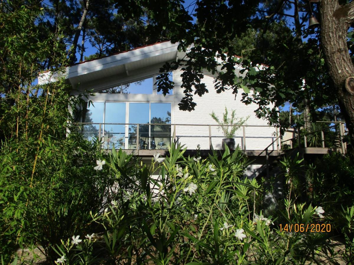 Maison Lumineuse Sous Les Pins Le Canon
