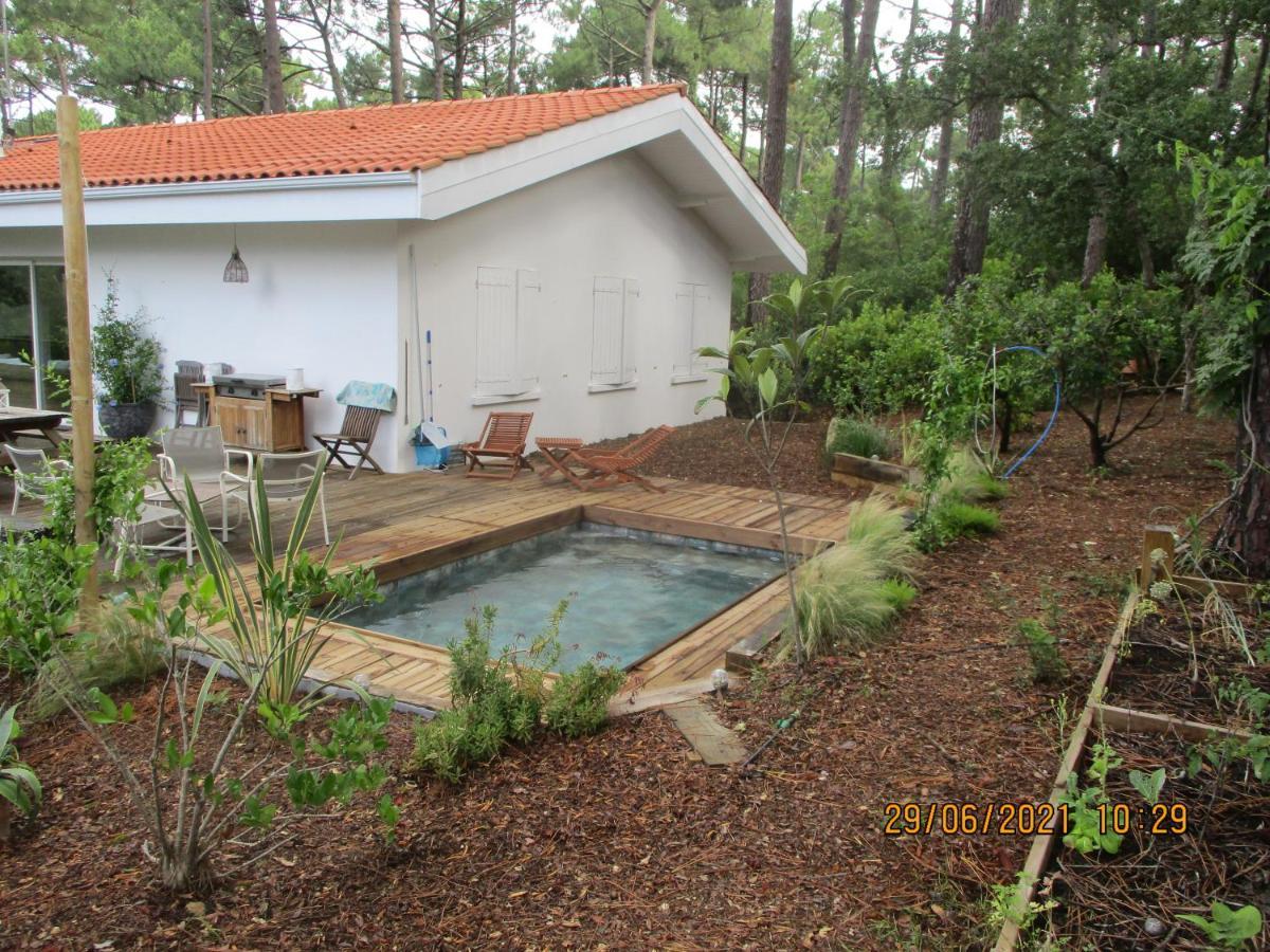 Maison Lumineuse Sous Les Pins Villa *